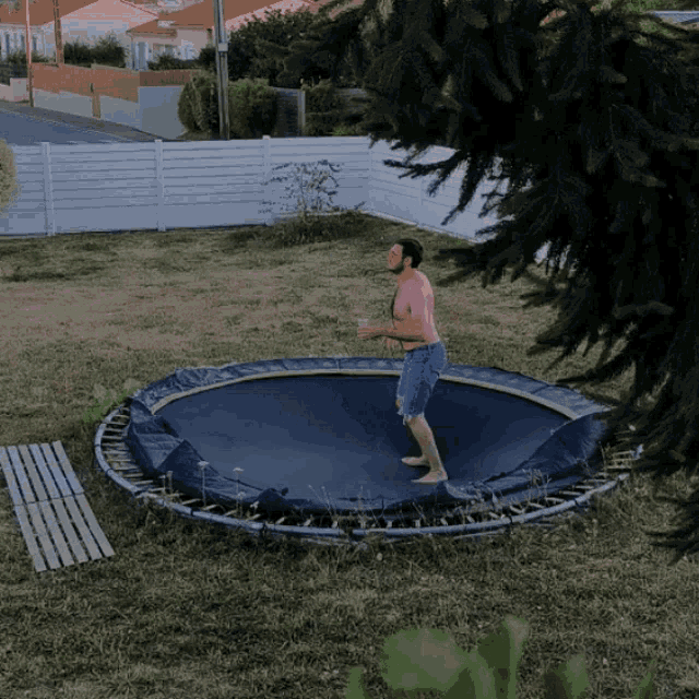 Crotus Trampoline GIF - Crotus Trampoline Jump GIFs