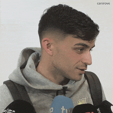 a man wearing a grey hoodie is talking into a microphone with the word canirove above him
