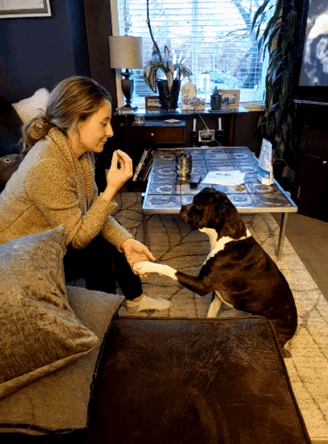 a woman sitting on a couch playing with a dog that has a paw on a coffee table that says ' 000 '