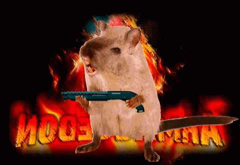 Rata Con Escopeta Raton Mouse Asesina GIF - Rata Con Escopeta Raton Mouse Asesina Shoot GIFs