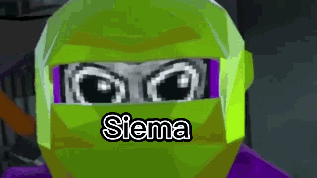 a close up of a green and purple lego ninjago character 's face with the name siema on it .