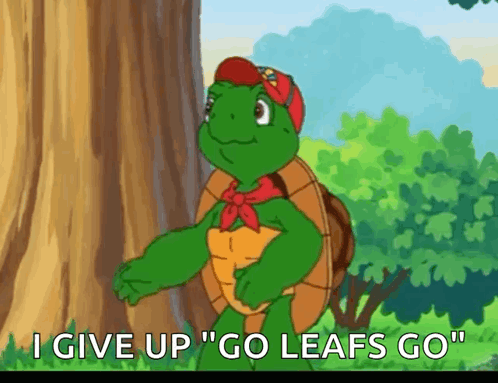 Hands Up Turtle GIF - Hands Up Turtle GIFs