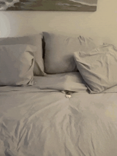 a cat is peeking out from under a blanket on a bed