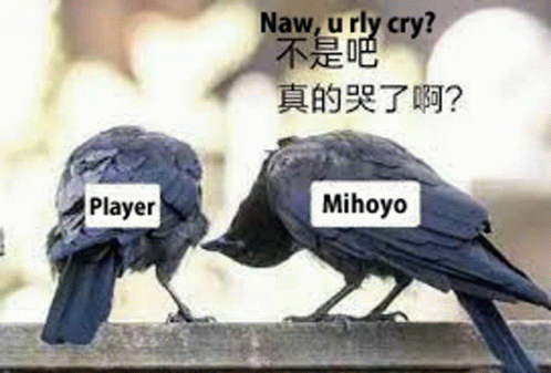 Crow Rly Cry Mihoyo GIF - Crow Rly Cry Mihoyo Genshin GIFs