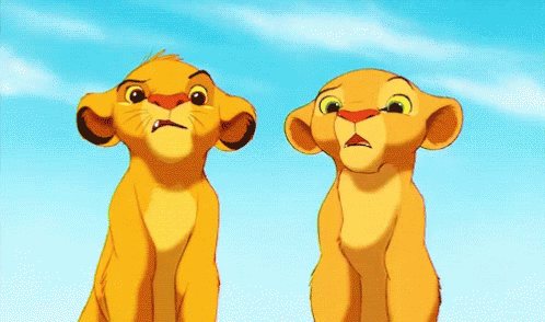 為什麼 GIF - Why Lion King Simba GIFs