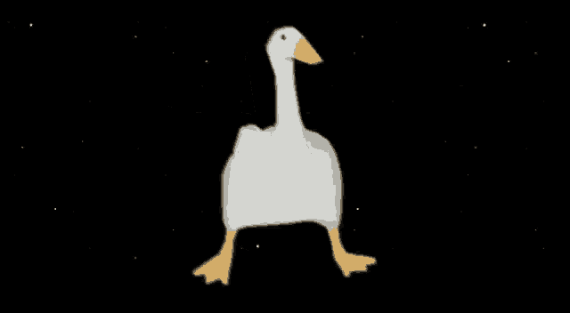 a white goose with a yellow beak is walking in the dark .