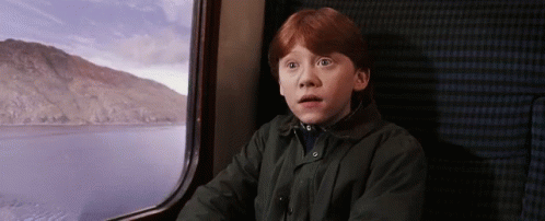 Ron Weasley Harry Potter GIF - Ron Weasley Harry Potter Shocked GIFs