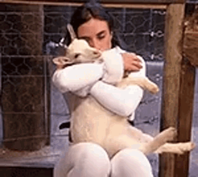a woman is holding a dog in her arms while sitting on a chair .