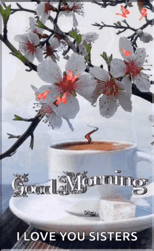 a picture of a cup of coffee and flowers with the words good morning i love you sisters
