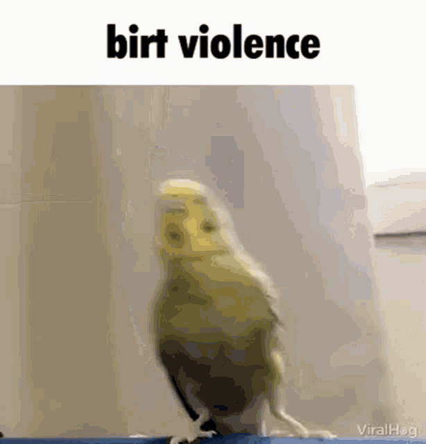 Birt Violence GIF - Birt Violence GIFs