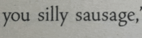 a piece of paper with the words " you silly sausage " written on it