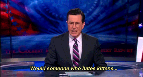Logic And Reasoning GIF - Colbert Report Stephen Colbert Kittens GIFs