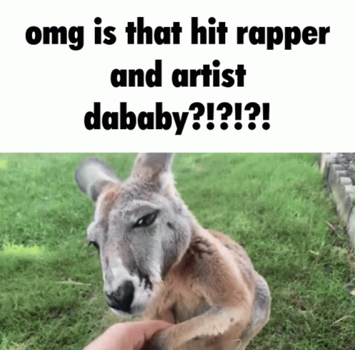 Kangaroo Dababy GIF - Kangaroo Dababy Urban Rescue Ranch GIFs