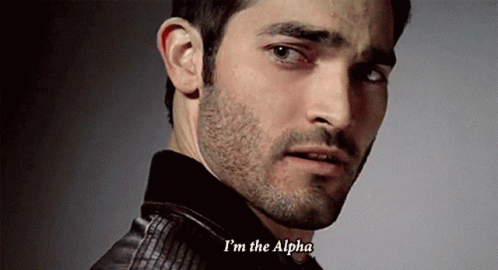Alpha Male Wolf Top Tier Sigma GIF