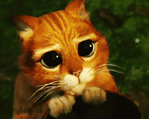 a close up of a cat 's face with a green background