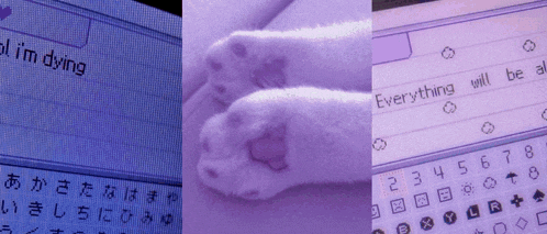 a cat 's paws are shown next to a keyboard that says everything will be al