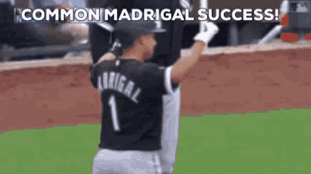 Nick Madrigal Madrigal GIF