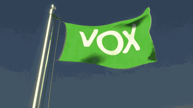 a green flag that says vox is flying in the wind