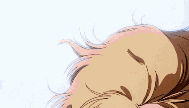 a close up of a person 's hair against a white backdrop