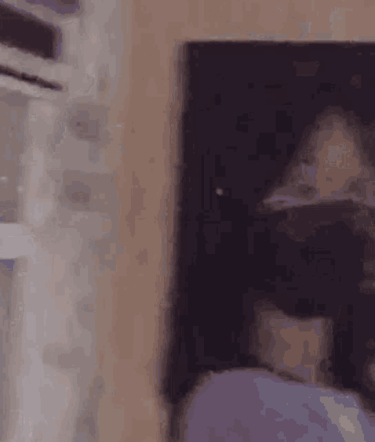 a woman is standing in front of a mirror in a room with a window .