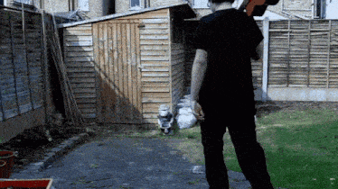 a man in a black shirt is standing in front of a wooden shed in a backyard
