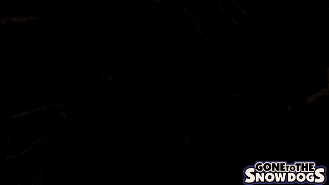 a picture of a dog with a gone to the snow dogs logo