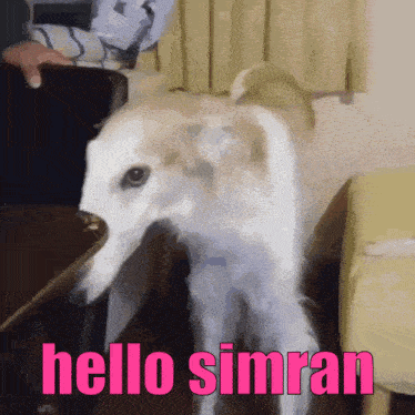 a picture of a dog with the words hello simran on the bottom