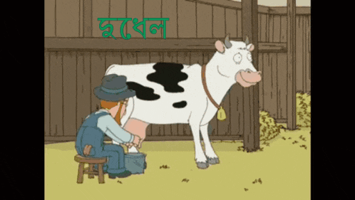 a cartoon of a man milking a cow in front of a sign that says ' bangla '