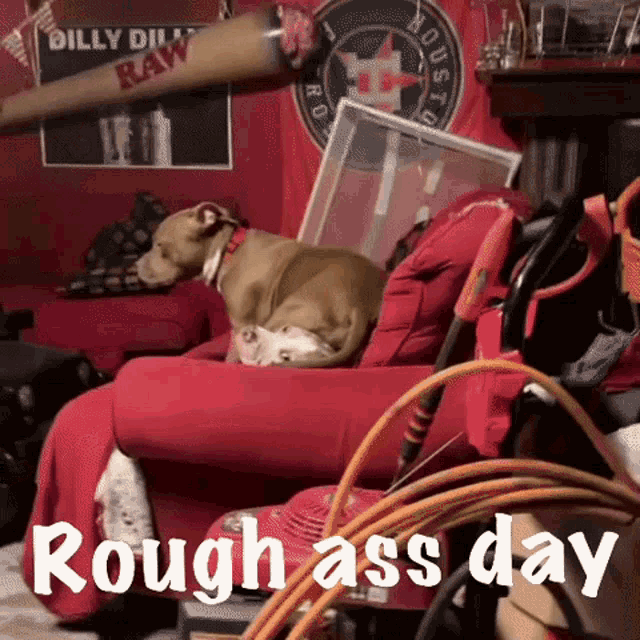 Rough Ruff GIF - Rough Ruff Ass GIFs