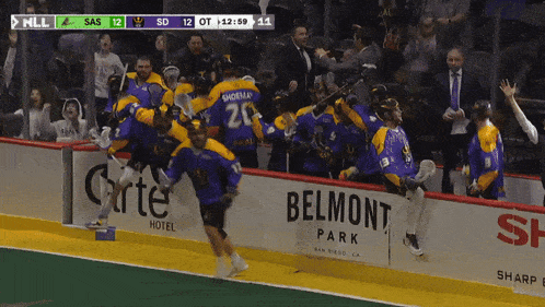 a hockey game is being played in belmont park