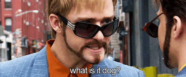 a man with a beard wearing sunglasses is asking another man what is it dog