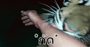 กัดแขน งับแขน เสือ GIF - Biting Arm Bite Arm Tiger GIFs