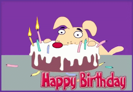 Funny Happy Birthday GIF - Funny Happy Birthday Dog GIFs