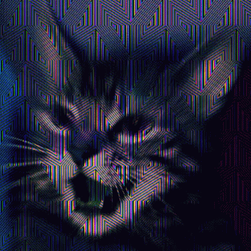 Transdimensional Cat GIF - Transdimensional Cat GIFs