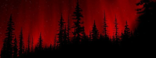 Red Trees GIF - Red Trees Forest GIFs