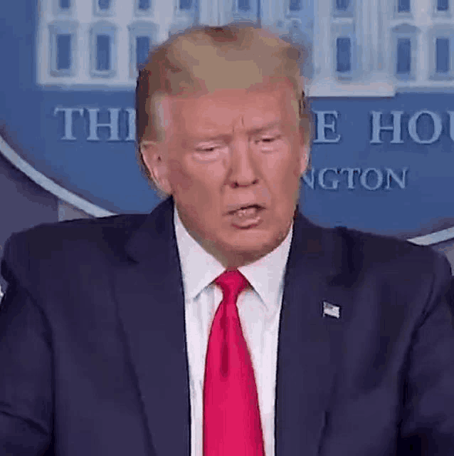 donald trump is wearing a suit and tie and making a funny face while standing in front of the white house .
