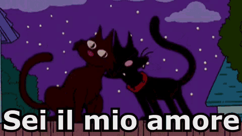 a cartoon of a cat with the words sei il mio amore written below it