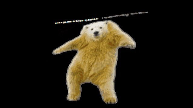 a polar bear is standing on its hind legs with a person laying on the ground behind it