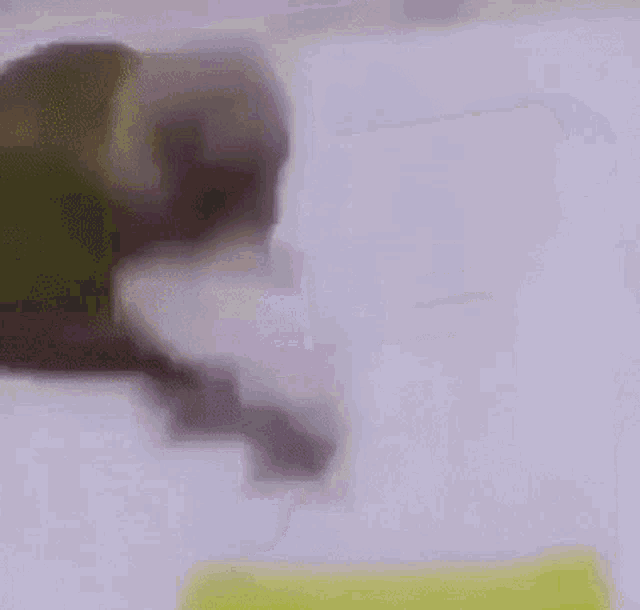 a blurred image of a bird standing next to a green container