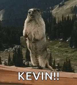 a ground squirrel standing on its hind legs with the words kevin written below it