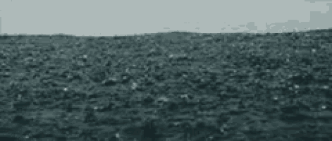 a close up of a body of water with bubbles coming out of it