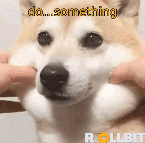 Doge Dosomething GIF - Doge Dosomething Rollbit GIFs