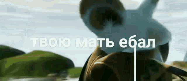 Gruzhopagriah GIF