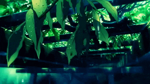 a tree with lots of green leaves and water drops on them