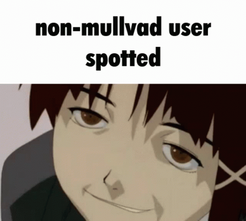 Mullvad Lain GIF - Mullvad Lain Serial Experiments Lain GIFs