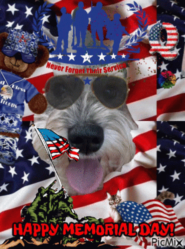a picture of a dog wearing sunglasses with the words " happy memorial day " at the bottom