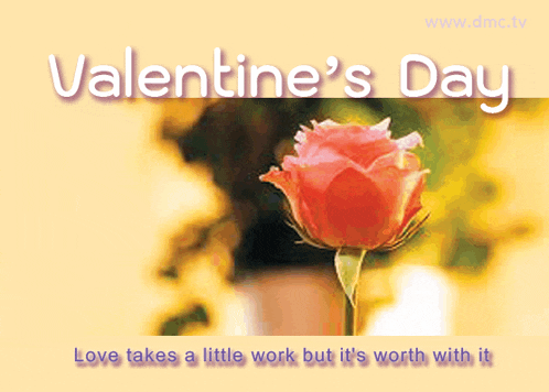 a valentine 's day greeting card with a red rose