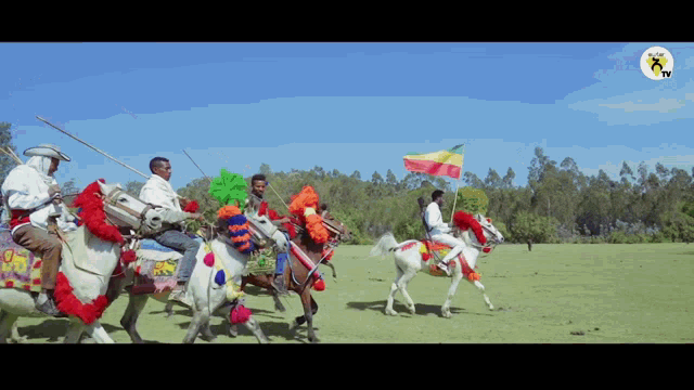 Ethiopia Amhara GIF - Ethiopia Amhara Raya GIFs