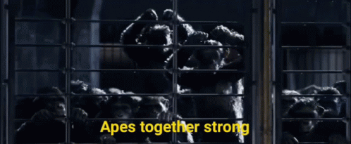 Apes Together GIF - Apes Together Strong GIFs