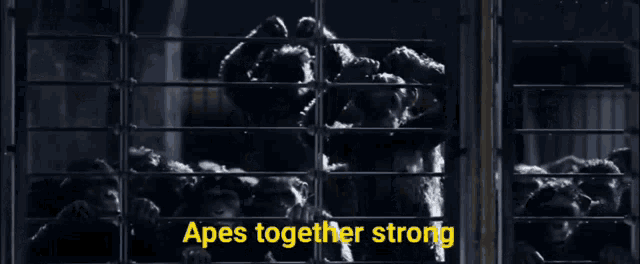 a group of apes in a cage with the words " apes together strong "